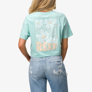 Koda 18" Crop T-Shirt