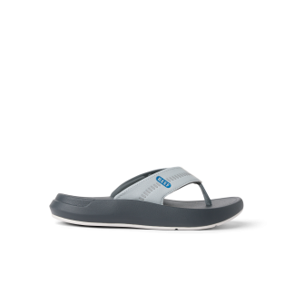 Cruiser