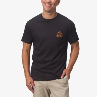 Wayne Tee