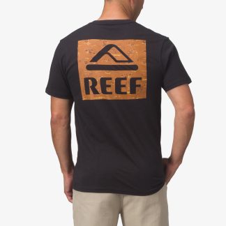 Wayne Tee
